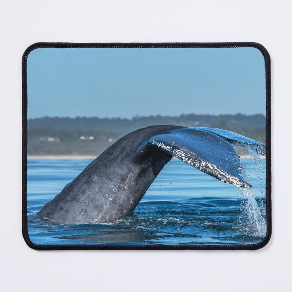 Item preview, Whale Tail designed and sold by Barbara Burkhardt.