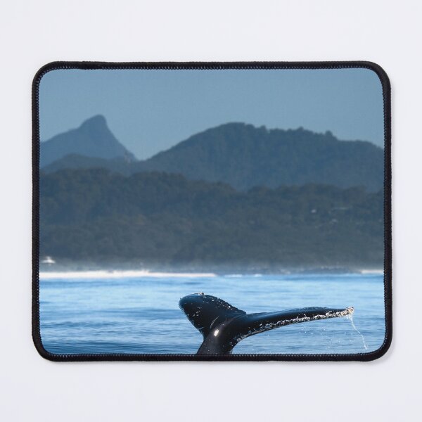 Item preview, Whale with Mount Warning in the Background designed and sold by Barbara Burkhardt.