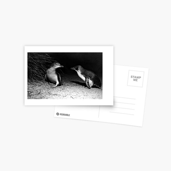 Item preview, Little Penguin 04 designed and sold by GaryParnell.
