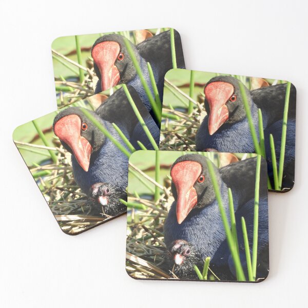 Item preview, Australasian  Swamphen with chick  designed and sold by Mark Grimsley.