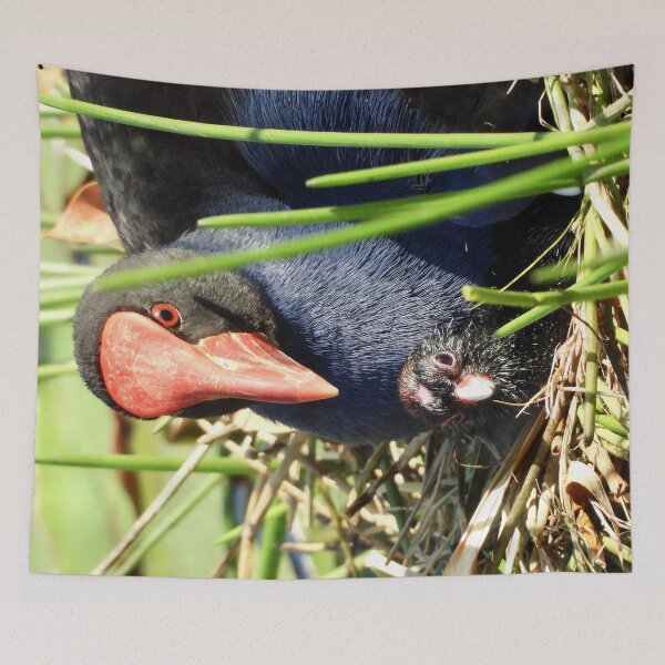 Item preview, Australasian  Swamphen with chick  designed and sold by Mark Grimsley.