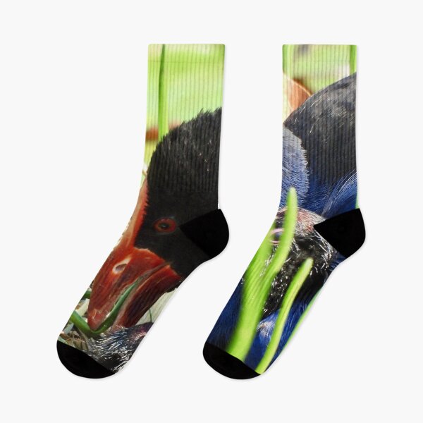 Item preview, Australasian Swamphen with chicks designed and sold by Mark Grimsley.