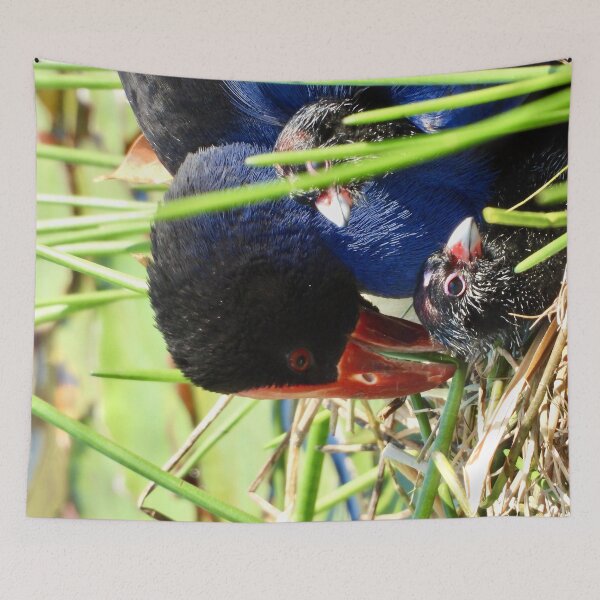 Item preview, Australasian Swamphen with chicks designed and sold by Mark Grimsley.
