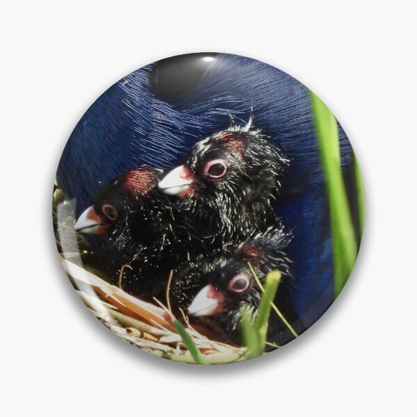 Item preview, Australasian Swamphen chicks designed and sold by Mark Grimsley.