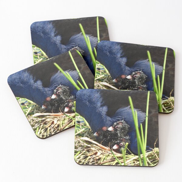 Item preview, Australasian Swamphen chicks designed and sold by Mark Grimsley.