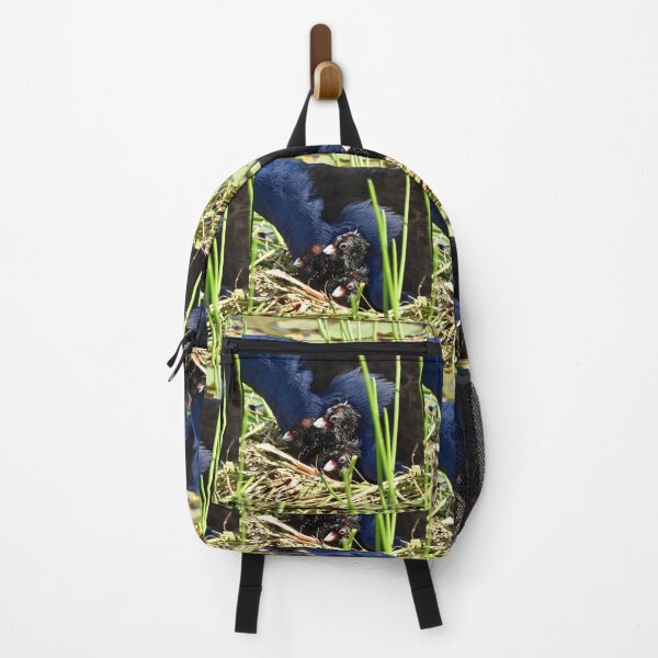 Item preview, Australasian Swamphen chicks designed and sold by Mark Grimsley.
