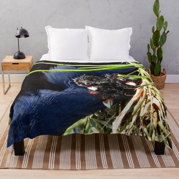 Item preview, Australasian Swamphen chicks designed and sold by Mark Grimsley.