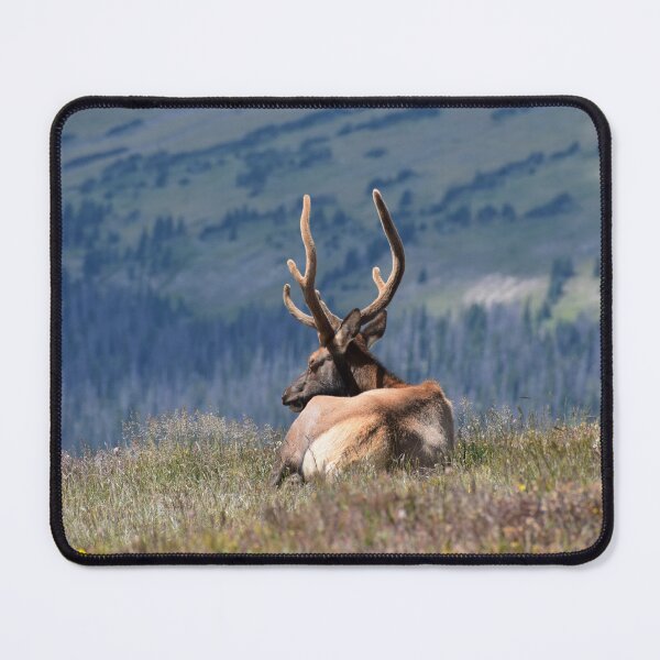 Item preview, Peaceful Elk designed and sold by YCastle.