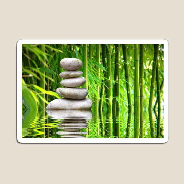 Balance Magnet