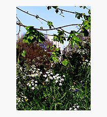 City Walls Photographic Print