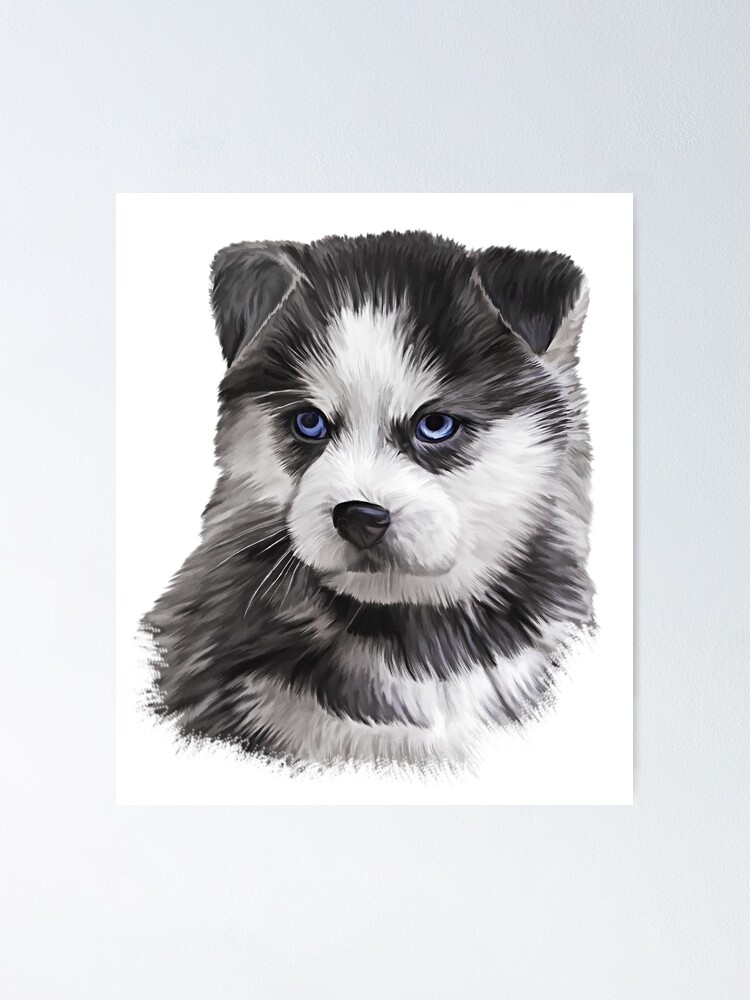 Póster «Dibujo cachorro Perro husky, retrato» de bonidog | Redbubble
