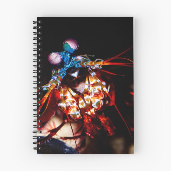 Item preview, Mantis Shrimp designed and sold by Libby Sterling.