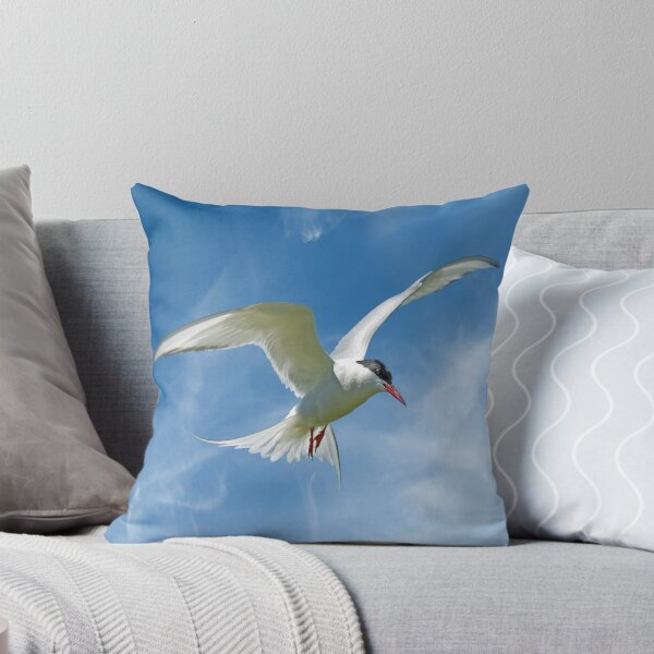 Item preview, Arctic Tern designed and sold by ten2eight.
