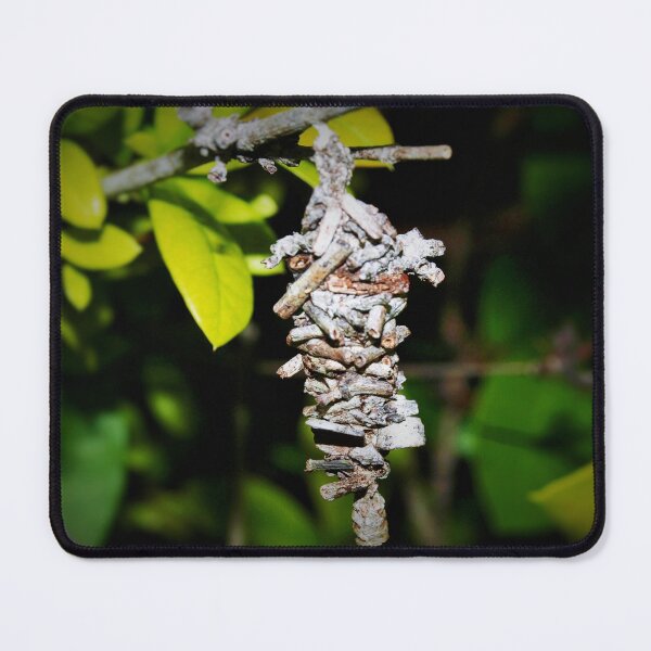 Item preview, Bagworm cocoon designed and sold by B. Randi Bailey.