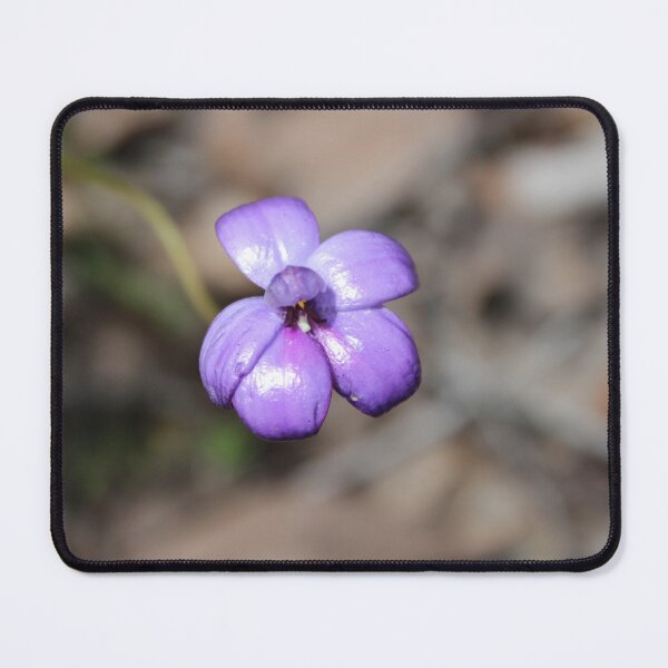 Item preview, Purple Enamel Orchid designed and sold by GedSharna.