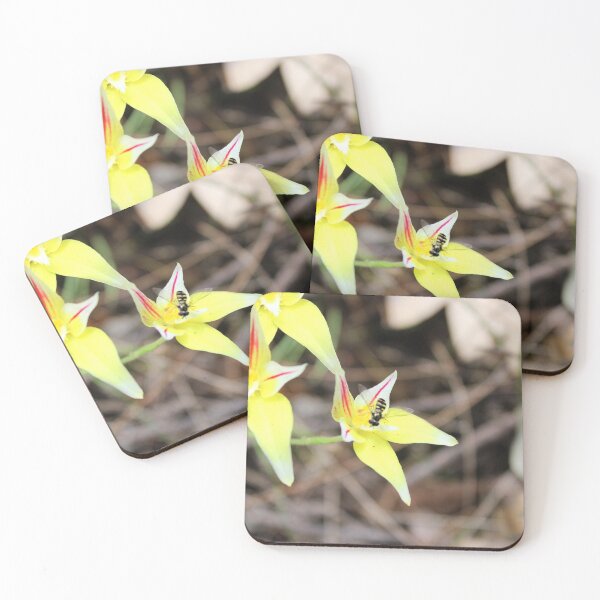 Item preview, Cowslip Orchids designed and sold by GedSharna.
