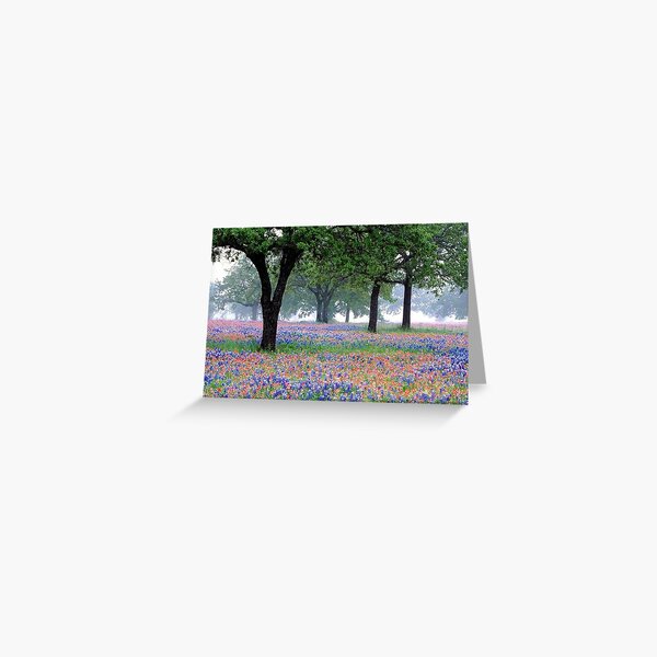 Item preview, Bluebonnets and Indian Paintbrushes designed and sold by HoustonPhatz.