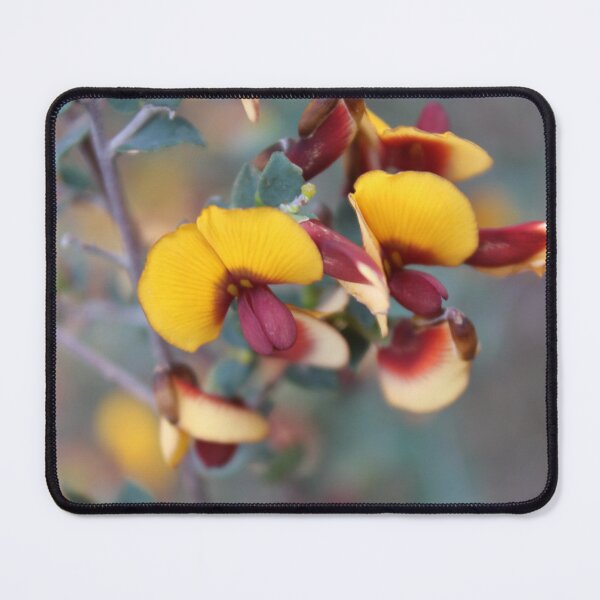 Item preview, Native Wildflower designed and sold by GedSharna.