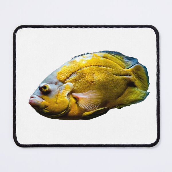 Item preview, Yellow Fish designed and sold by KGSPhotoArt.