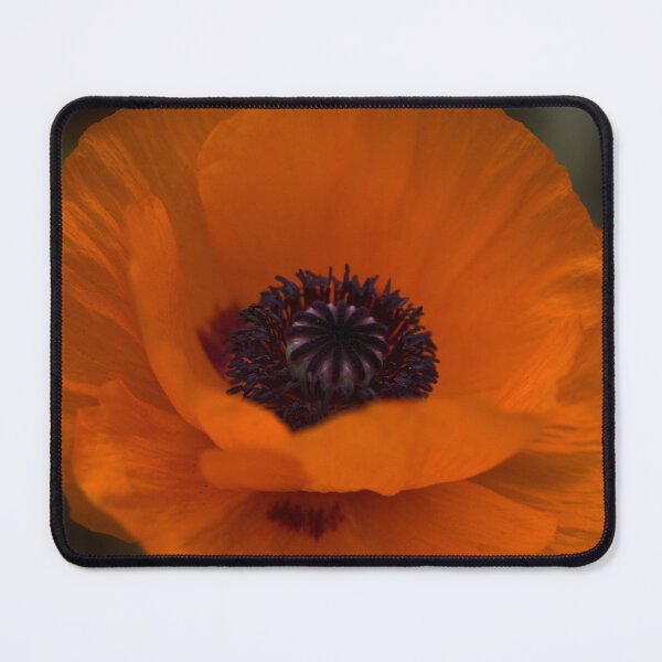 Item preview, Orange poppy designed and sold by JeanKellyPhoto.