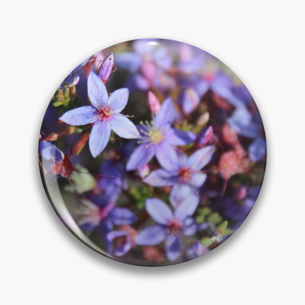 Item preview, Star of Bethlehem Native Flower designed and sold by GedSharna.