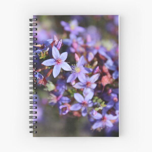 Item preview, Star of Bethlehem Native Flower designed and sold by GedSharna.