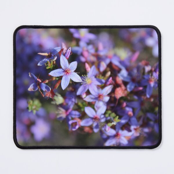 Item preview, Star of Bethlehem Native Flower designed and sold by GedSharna.