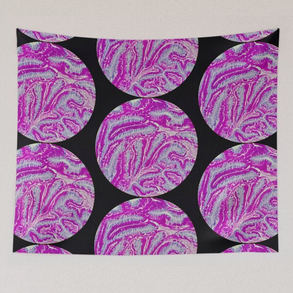 Item preview, Small bowel histology, 40x,, AB/PAS stain designed and sold by Psymier.