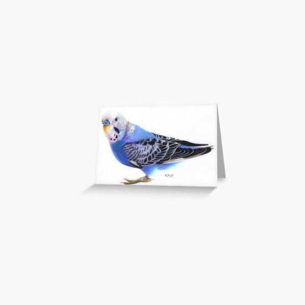 Willie Greeting Card