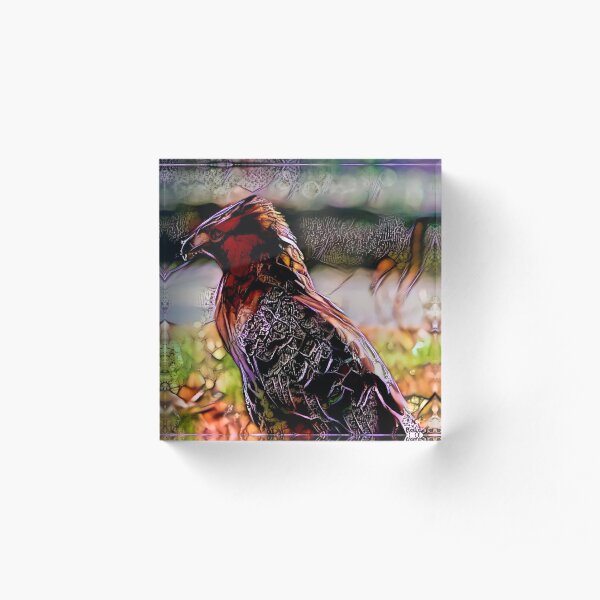 Redreaming Deep Dreamed Redtailed Hawk Acrylic Block