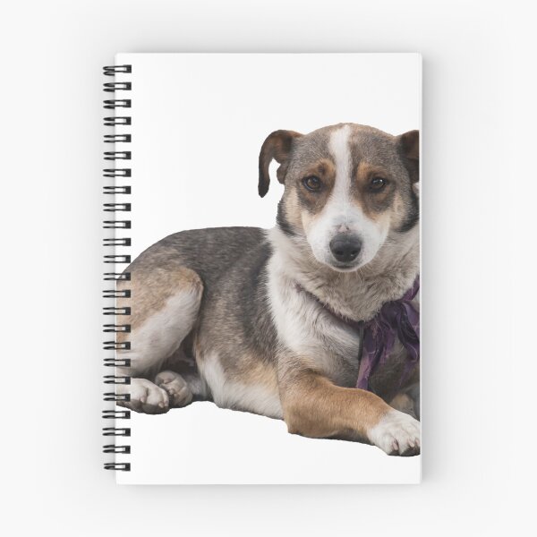 Item preview, Dog Lying Down designed and sold by KGSPhotoArt.