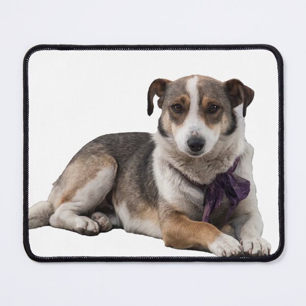 Item preview, Dog Lying Down designed and sold by KGSPhotoArt.
