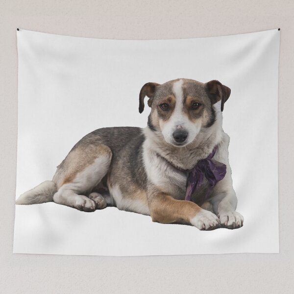 Item preview, Dog Lying Down designed and sold by KGSPhotoArt.