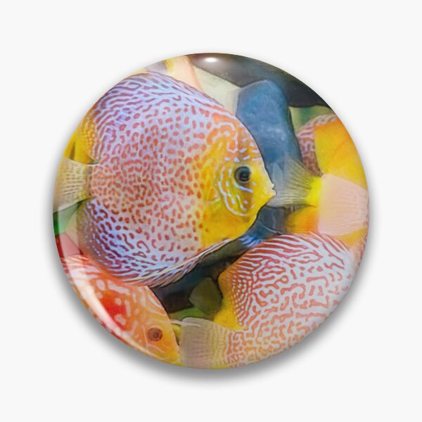 Item preview, Fish Tank designed and sold by KGSPhotoArt.
