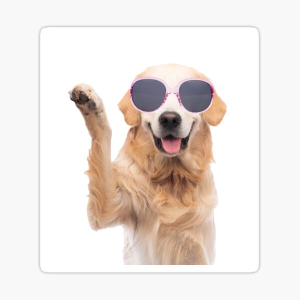 Item preview, Golden Retriever sagt Hallo designed and sold by KGSPhotoArt.