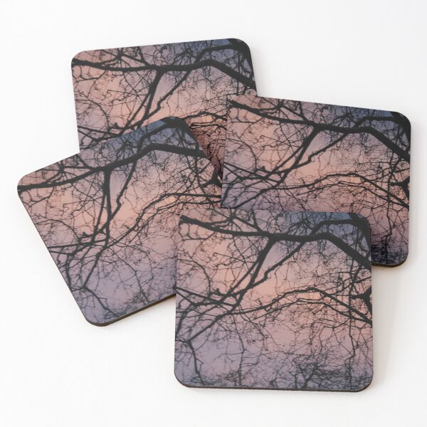 Item preview, The Forest designed and sold by Where the pigeons sleep.