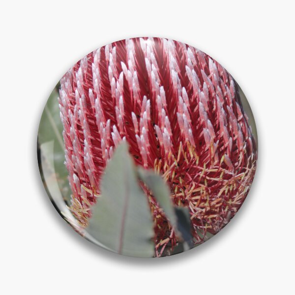 Item preview, Native Banksia species designed and sold by GedSharna.