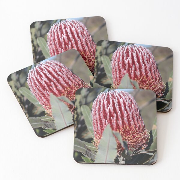 Item preview, Native Banksia species designed and sold by GedSharna.
