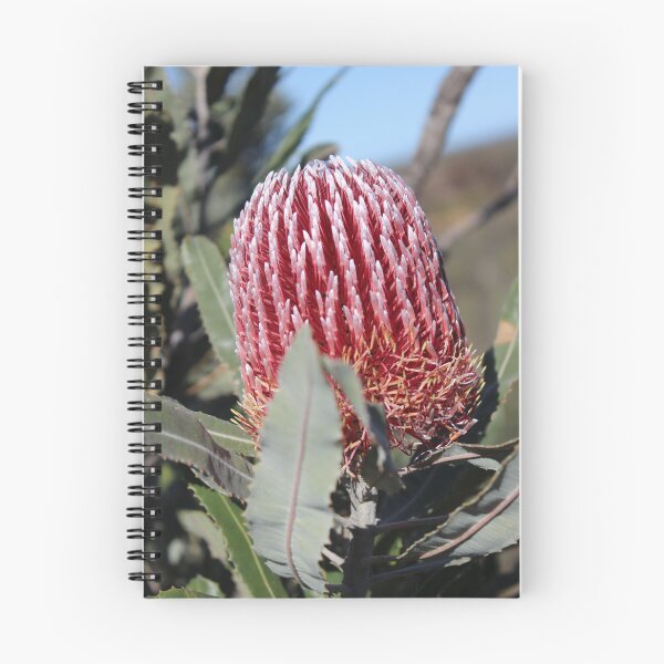 Item preview, Native Banksia species designed and sold by GedSharna.