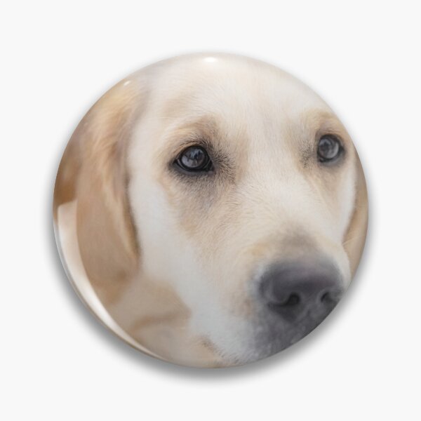 Item preview, Golden Retriever designed and sold by KGSPhotoArt.