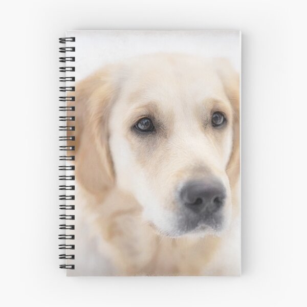 Item preview, Golden Retriever designed and sold by KGSPhotoArt.