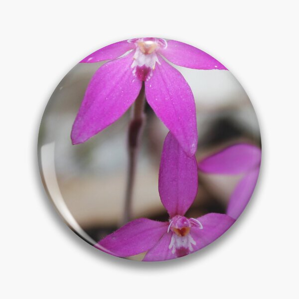 Item preview, Pink Fairy Native Orchid designed and sold by GedSharna.