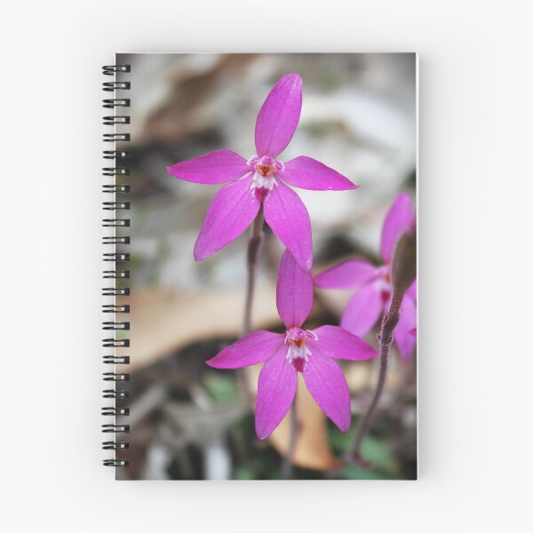 Item preview, Pink Fairy Native Orchid designed and sold by GedSharna.