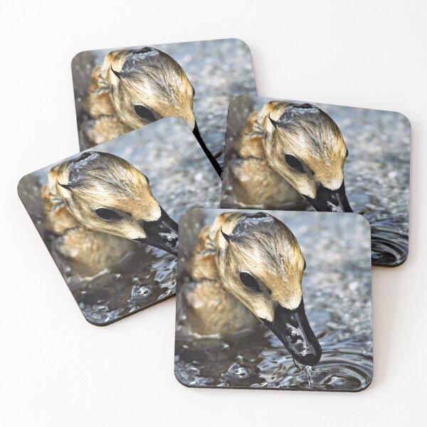 Item preview, Fresh Waters designed and sold by Talitha Higgs.