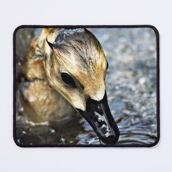 Item preview, Fresh Waters designed and sold by Talitha Higgs.