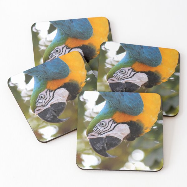 Item preview, Parrot designed and sold by Huskyooo.