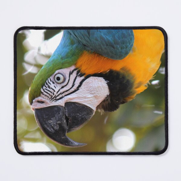 Item preview, Parrot designed and sold by Huskyooo.