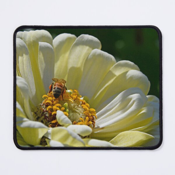 Item preview, Honey Bee on Xenia designed and sold by Poete100.