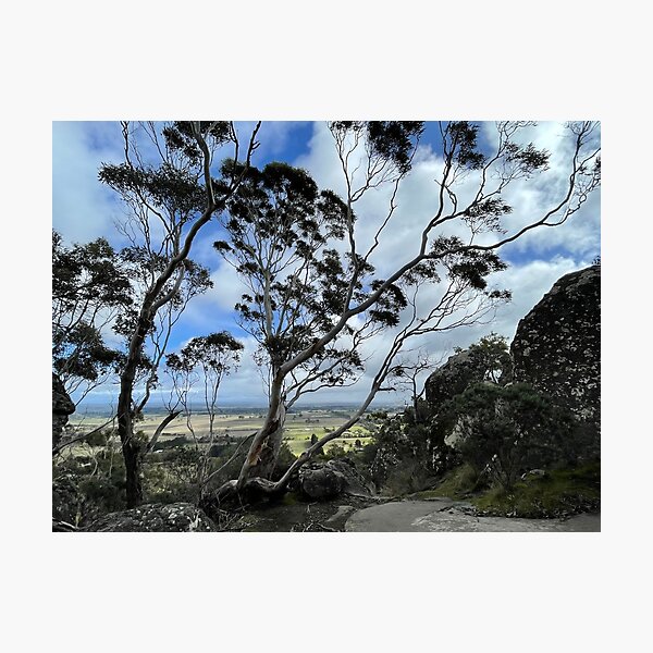 Item preview, Central Vic through trees on Hanging Rock designed and sold by Susan Henry.