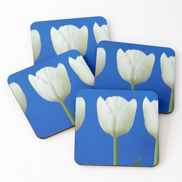 Item preview, Tulipa  'White Dream'  Tulip  designed and sold by Chris Burrows.